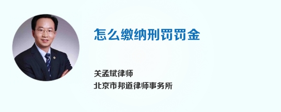 怎么缴纳刑罚罚金