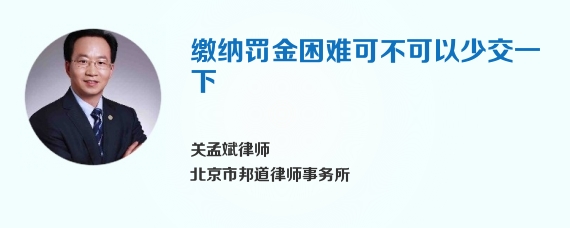 缴纳罚金困难可不可以少交一下