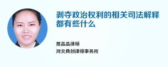 剥夺政治权利的相关司法解释都有些什么