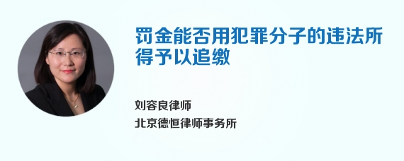 罚金能否用犯罪分子的违法所得予以追缴