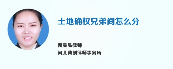 土地确权兄弟间怎么分
