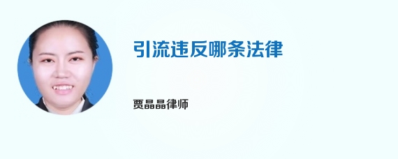引流违反哪条法律