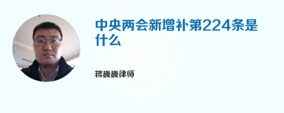 中央两会新增补第224条是什么