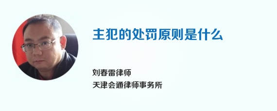 主犯的处罚原则是什么