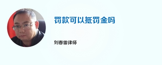 罚款可以抵罚金吗