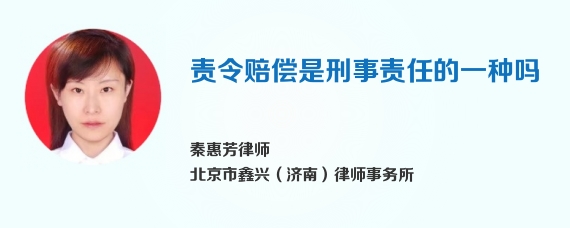 责令赔偿是刑事责任的一种吗