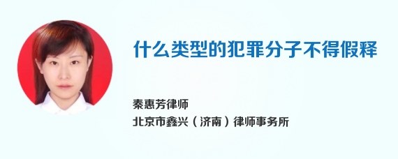 什么类型的犯罪分子不得假释