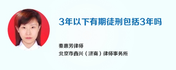 3年以下有期徒刑包括3年吗