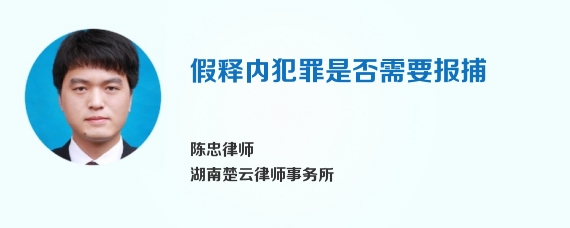 假释内犯罪是否需要报捕