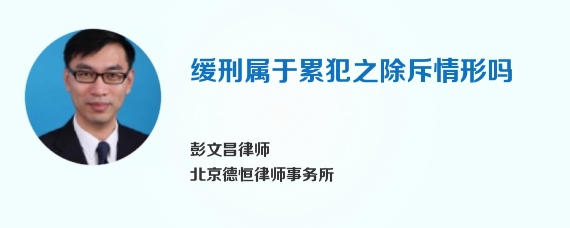 缓刑属于累犯之除斥情形吗