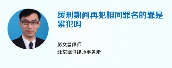 缓刑期间再犯相同罪名的罪是累犯吗