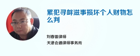 累犯寻衅滋事损坏个人财物怎么判