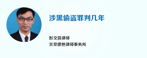 涉黑偷盗罪判几年