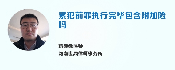 累犯前罪执行完毕包含附加险吗