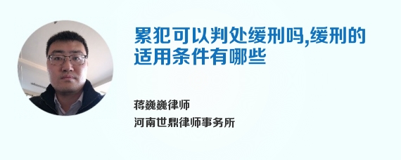 累犯可以判处缓刑吗，缓刑的适用条件有哪些