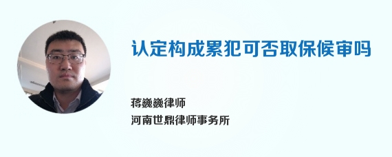 认定构成累犯可否取保候审吗
