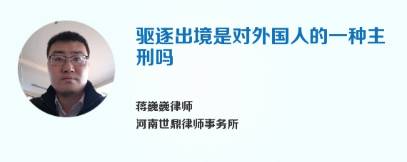 驱逐出境是对外国人的一种主刑吗