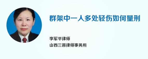 群架中一人多处轻伤如何量刑