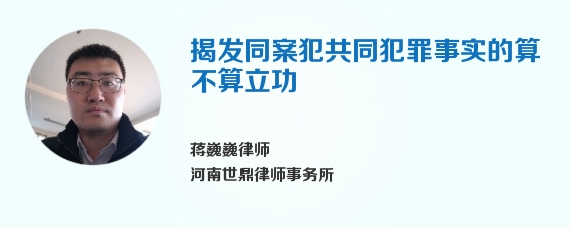 揭发同案犯共同犯罪事实的算不算立功