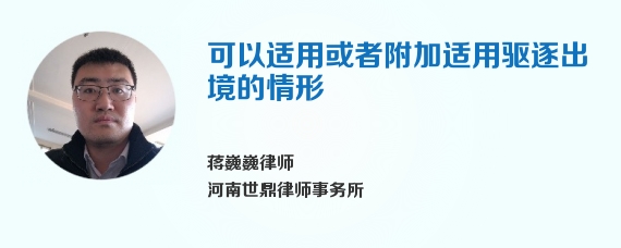 可以适用或者附加适用驱逐出境的情形