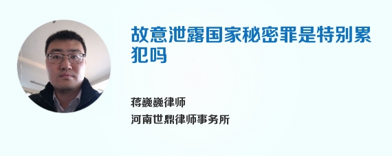 故意泄露国家秘密罪是特别累犯吗