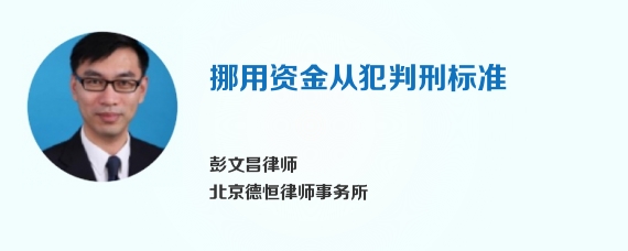 挪用资金从犯判刑标准