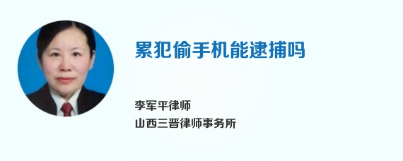 累犯偷手机能逮捕吗