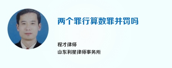 两个罪行算数罪并罚吗