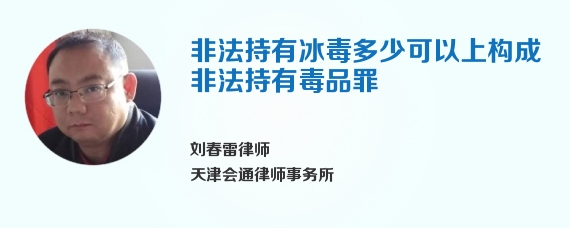 非法持有冰毒多少可以上构成非法持有毒品罪