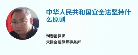 中华人民共和国安全法坚持什么原则