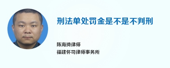 刑法单处罚金是不是不判刑