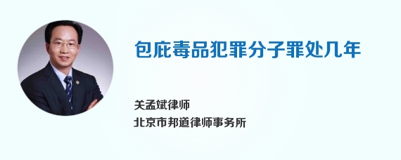 包庇毒品犯罪分子罪处几年