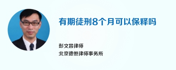 有期徒刑8个月可以保释吗