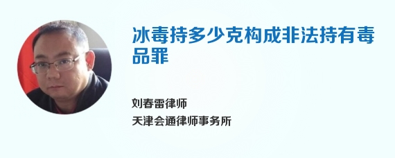 冰毒持多少克构成非法持有毒品罪