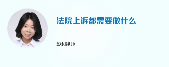 法院上诉都需要做什么