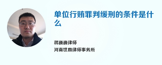 单位行贿罪判缓刑的条件是什么