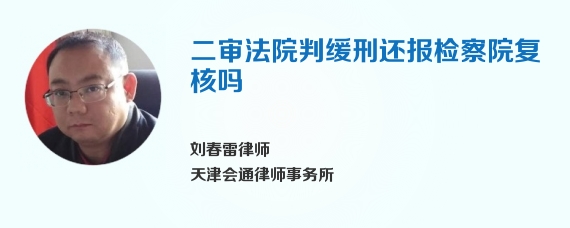 二审法院判缓刑还报检察院复核吗