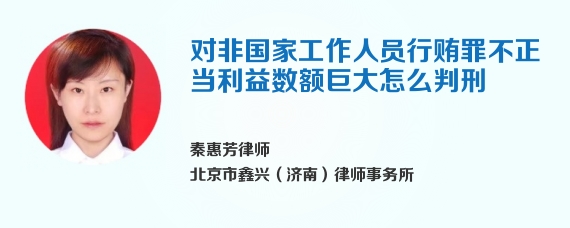 对非国家工作人员行贿罪不正当利益数额巨大怎么判刑