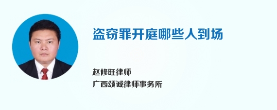 盗窃罪开庭哪些人到场