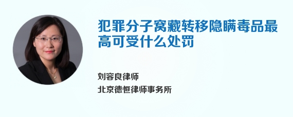 犯罪分子窝藏转移隐瞒毒品最高可受什么处罚