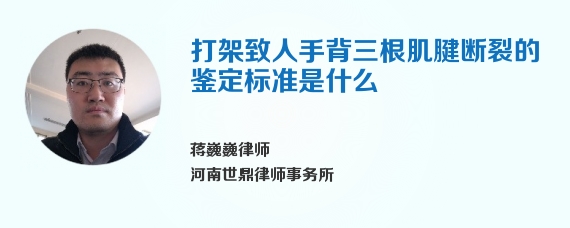 打架致人手背三根肌腱断裂的鉴定标准是什么