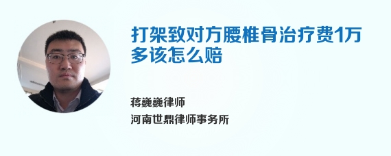 打架致对方腰椎骨治疗费1万多该怎么赔