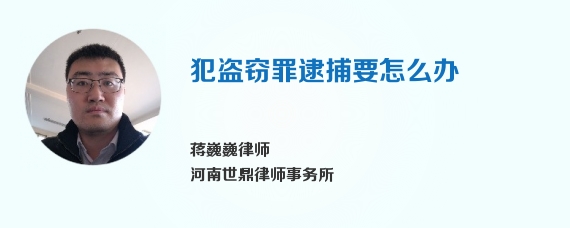 犯盗窃罪逮捕要怎么办