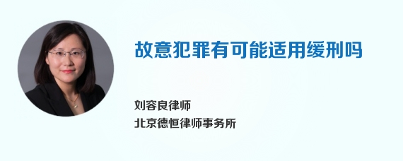 故意犯罪有可能适用缓刑吗