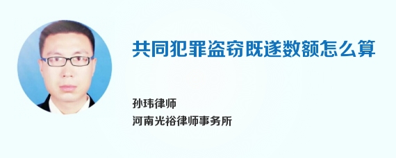 共同犯罪盗窃既遂数额怎么算