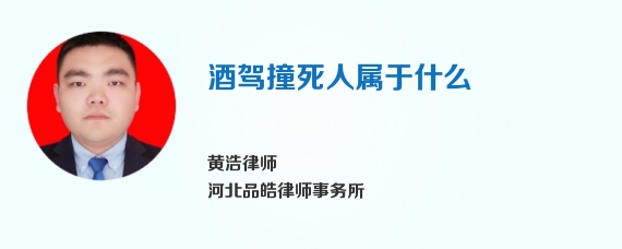 酒驾撞死人属于什么