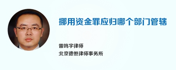 挪用资金罪应归哪个部门管辖
