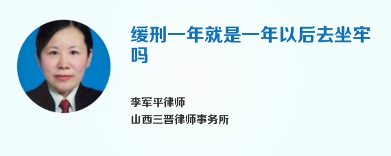 缓刑一年就是一年以后去坐牢吗