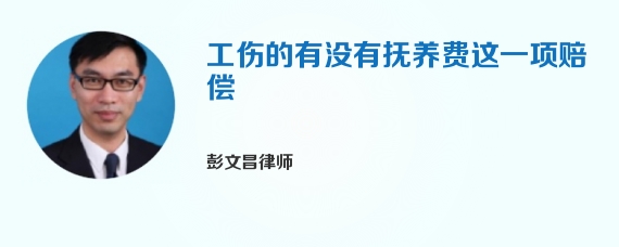 工伤的有没有抚养费这一项赔偿