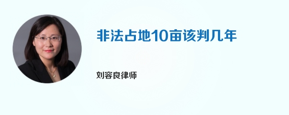 非法占地10亩该判几年